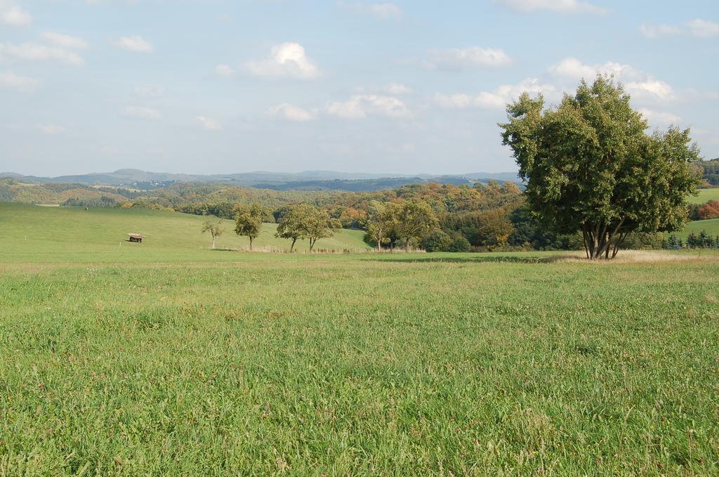 Landgasthaus Pfahl Wershofen Exteriör bild