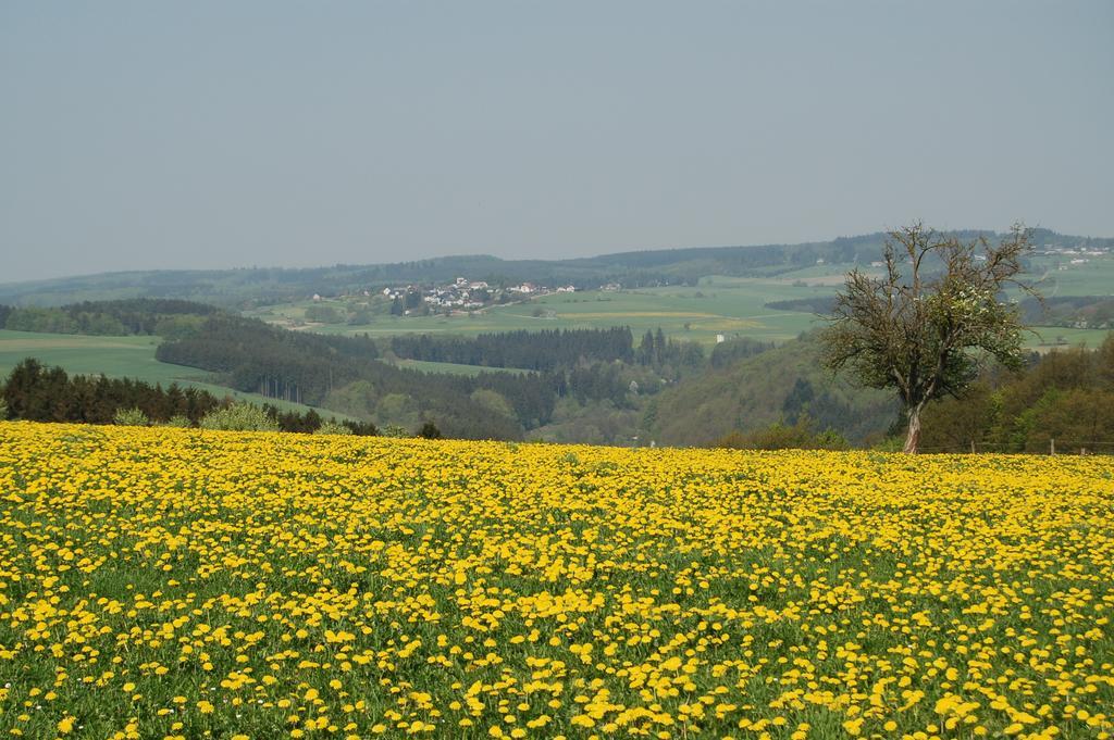 Landgasthaus Pfahl Wershofen Exteriör bild