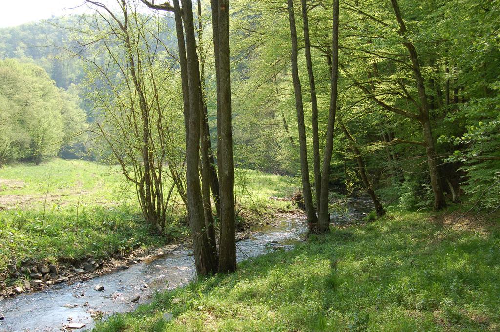 Landgasthaus Pfahl Wershofen Exteriör bild